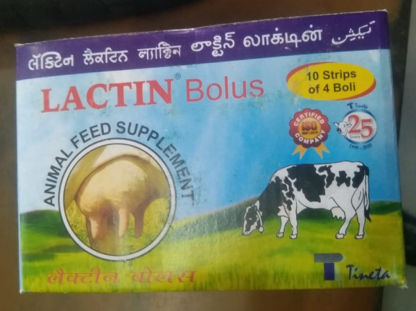 Lactin Bolus - Tineta