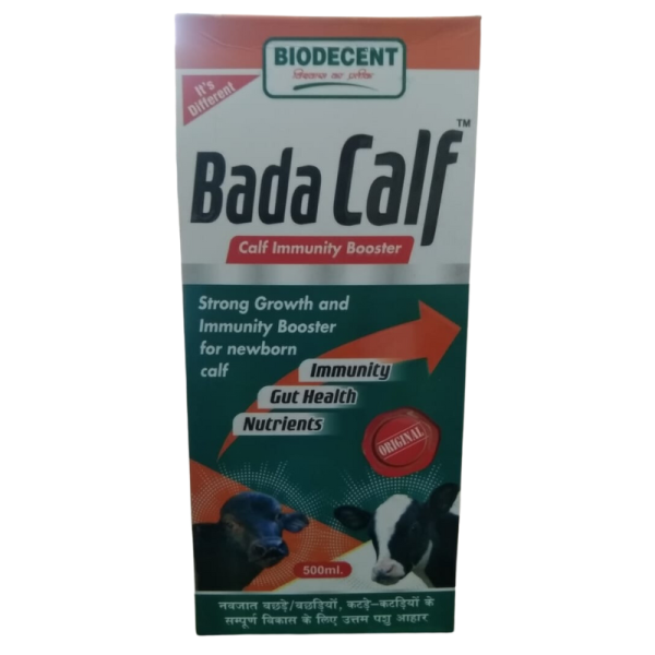 Bada Calf-Image