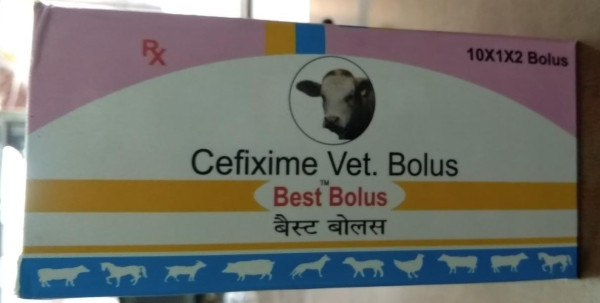 Best Bolus - Welcome Vet Pharma pvt ltd