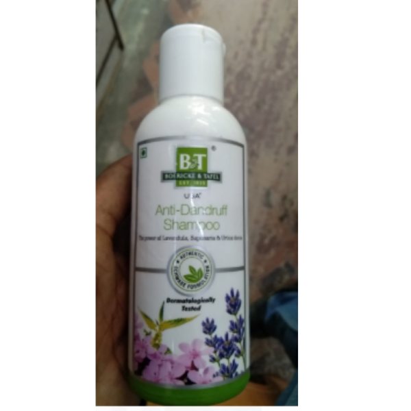 B&T Anti-Dandruff Shampoo - Dr Willmar Schwabe