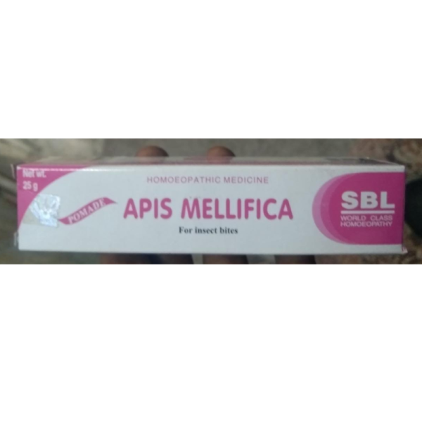 Apis Mellifica Ointment - SBL