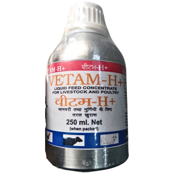Vetam - H+-Image