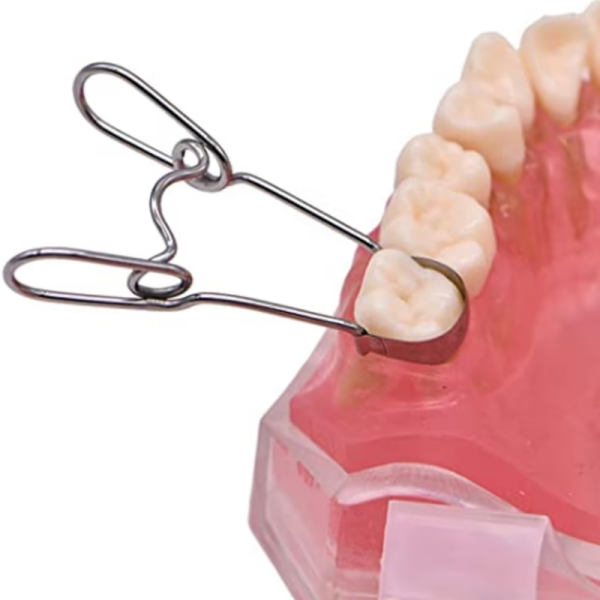 Teeth Fixing Sectional Matrix Bands - Generic