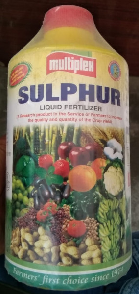 Sulphur - Multiplex