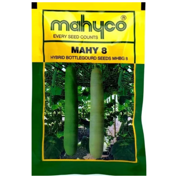 Mahy 8 Hybrid Bottle Gourd Seeds Image