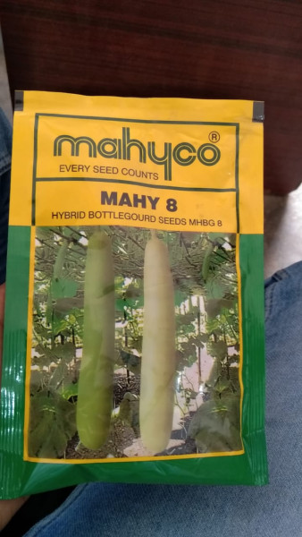 Mahy 8 Hybrid Bottle Gourd Seeds - Mahyco