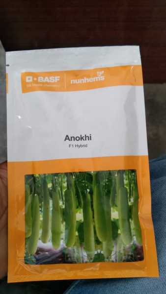 Anokhi F1 Hybrid Bottlegourd Seeds - Nunhems