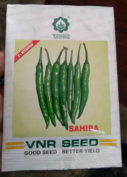 Sahiba Chilli Seeds - VNR Seed