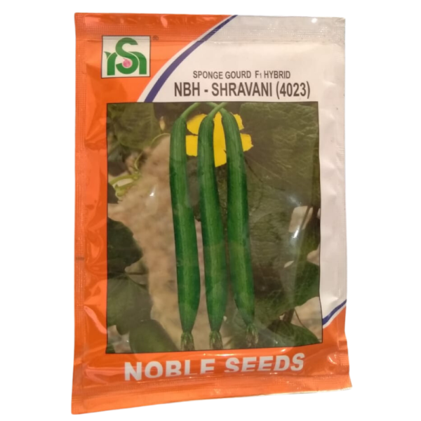 Spongegourd-NBH-Shravani - Noble Seeds