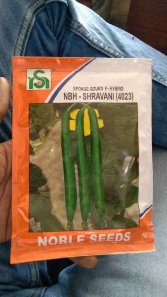 Spongegourd-NBH-Shravani - Noble Seeds