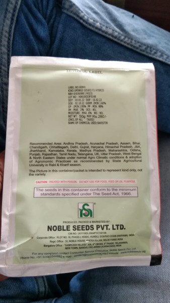 Spongegourd-NBH-Shravani - Noble Seeds