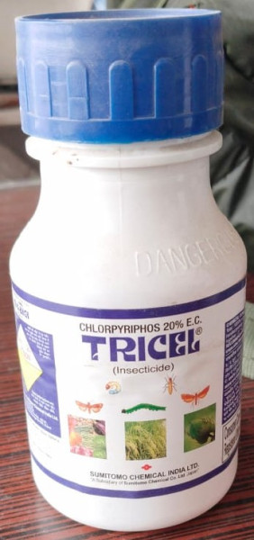 Chlorpyriphos Insecticide - Tricel