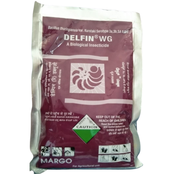 Delfin WG - Margo