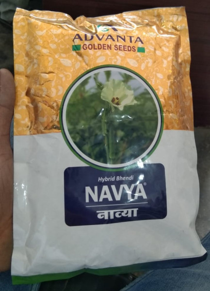 Hybrid Bhindi Navya - Advanta Seeds