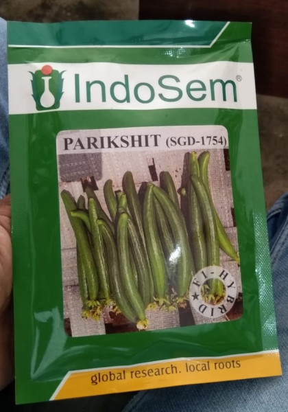 Hybrid Sponge Gourd Seeds - IndoSem