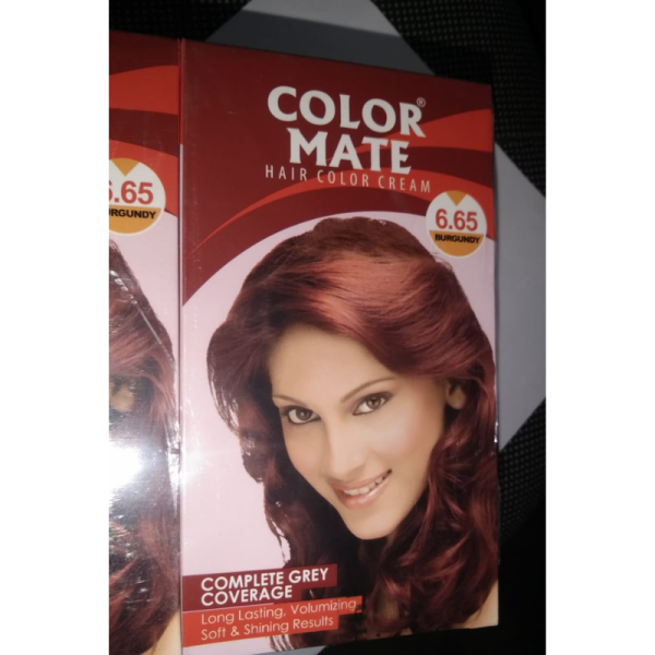 Hair Color Cream - Color Mate