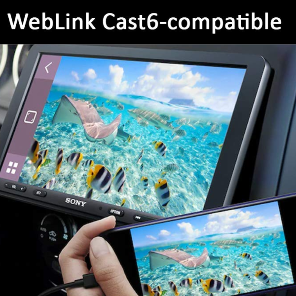 Car Multimedia Player - Sony