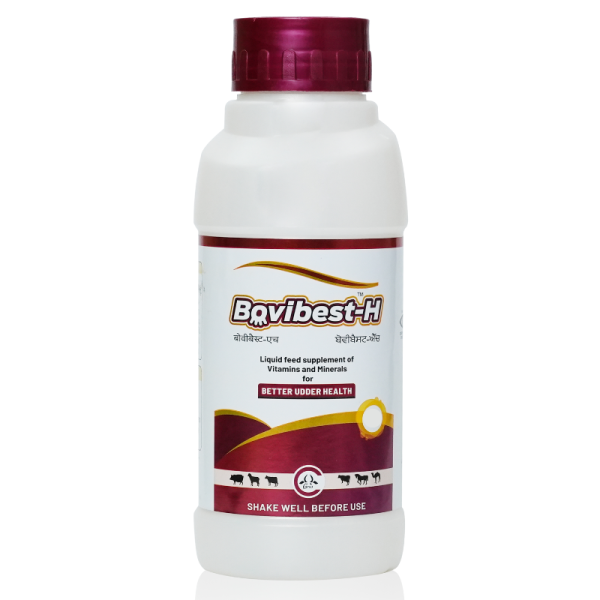 Bovibest-H-Image