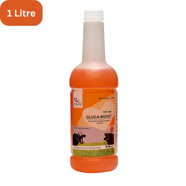 Gluca Boost-Image
