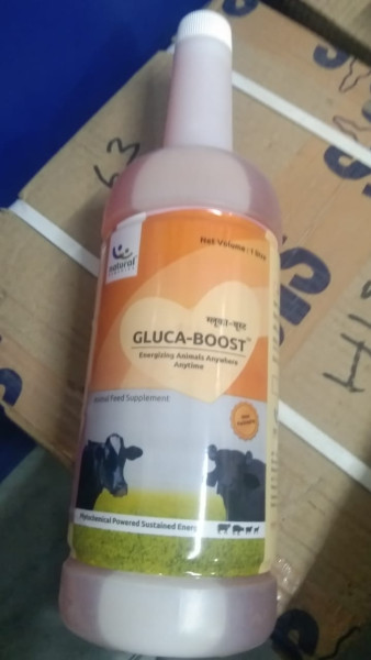 Gluca Boost - Natural Remedies Pvt.Ltd