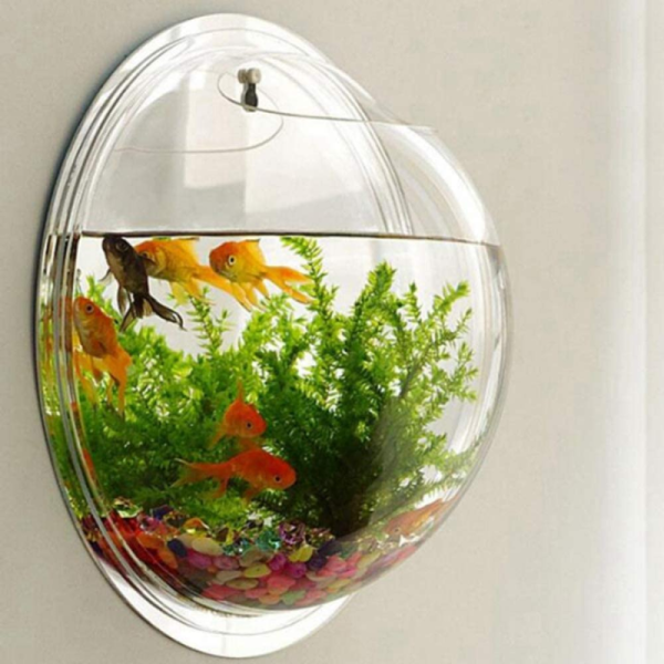 Wall Hanging Aquarium - Generic