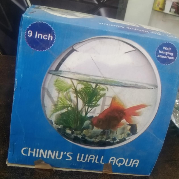 Wall Hanging Aquarium - Generic