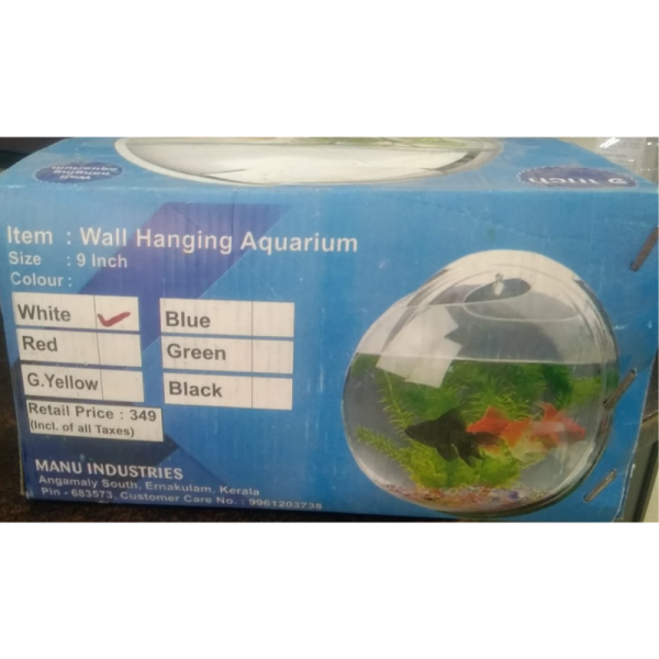 Wall Hanging Aquarium - Generic