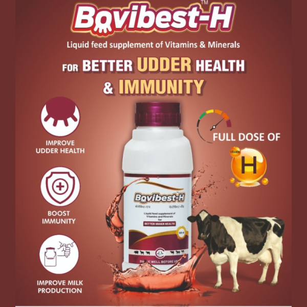 Bovibest-H - Carus Laboratories Pvt. Ltd