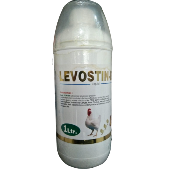 Levostin Bh Liquid-Image