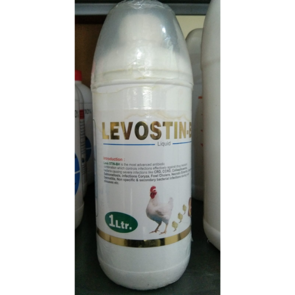 Levostin Bh Liquid - Norvet
