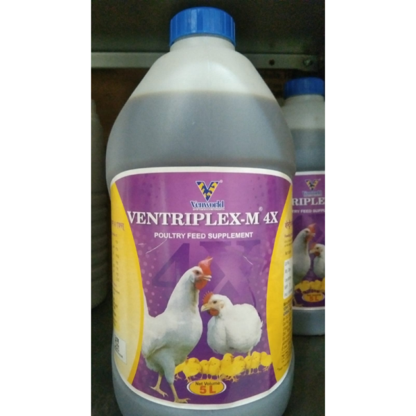 Ventriplex-M 4X - Venworld