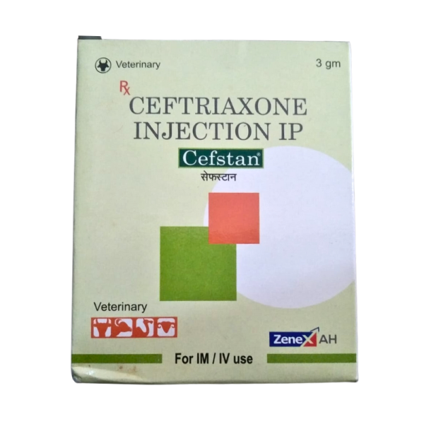 Cefstan Injection-Image