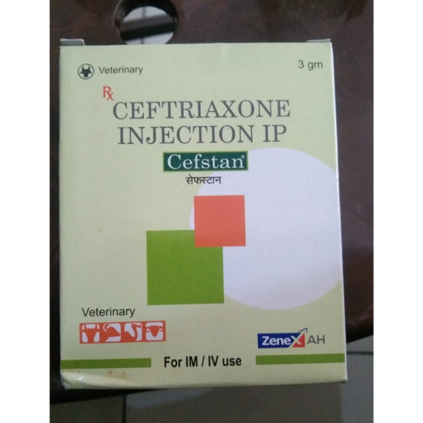 Cefstan Injection - Zenex AH