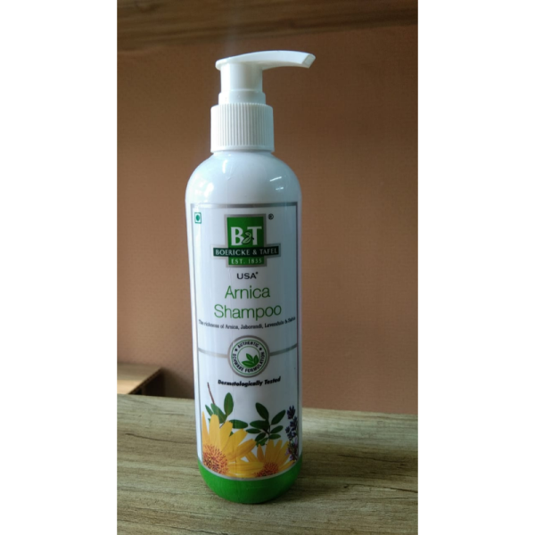 B & T Arnica Shampoo - Dr Willmar Schwabe