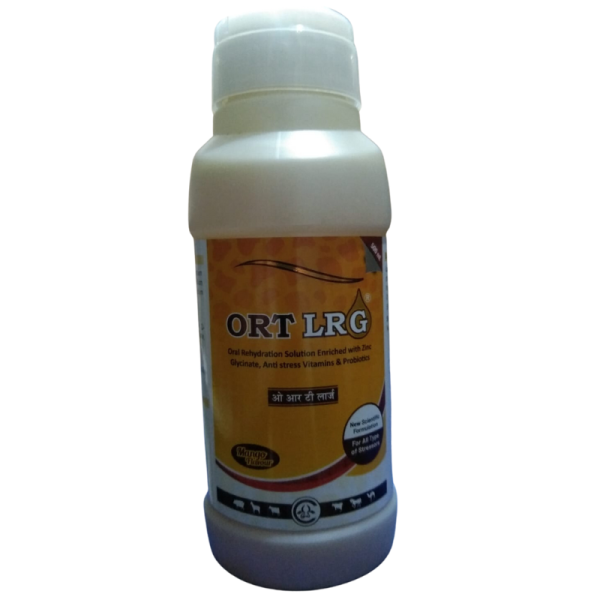 ORT LRG-Image
