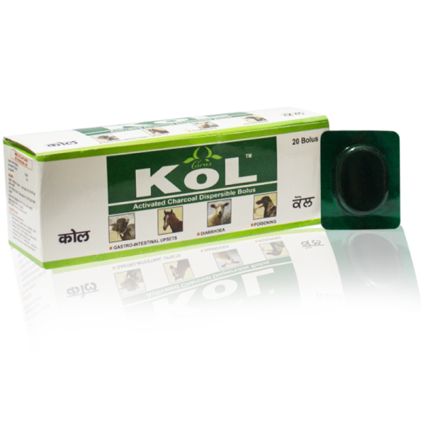KOL-Image