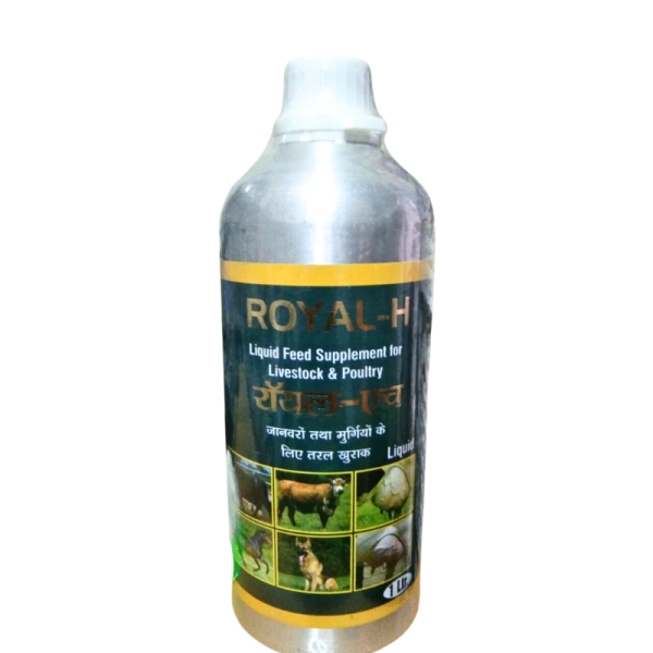 Royal-H-Image