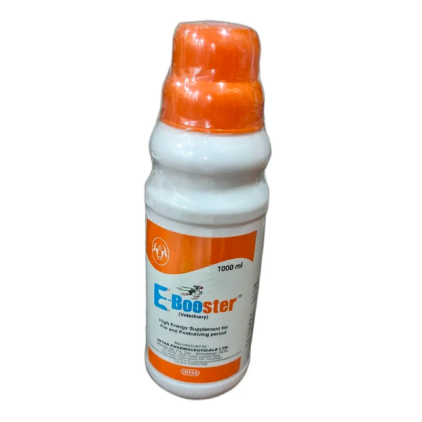 E Booster-Image