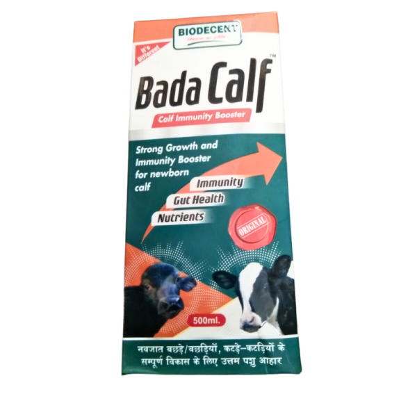 Bada Calf Image