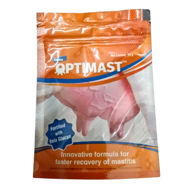 Optimast-Image