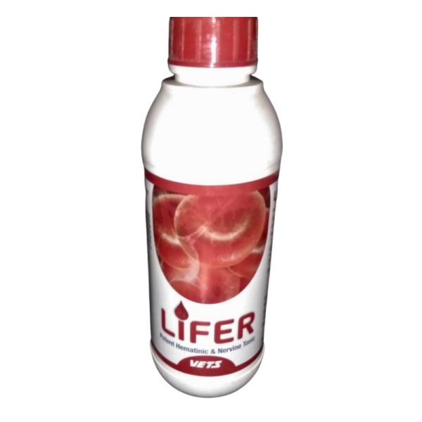 Lifer-Image