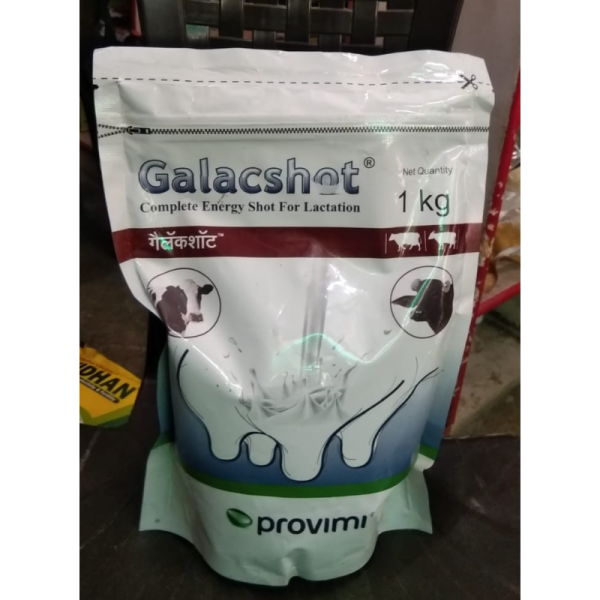 Galacshot - Provimi