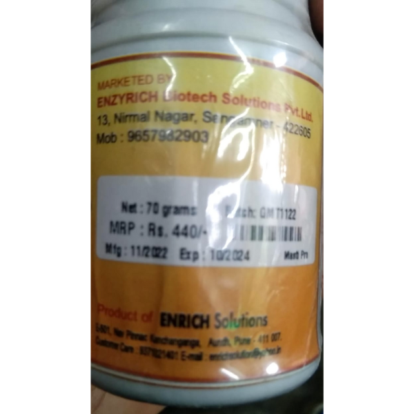 Masti - Pro - Enrich solutions