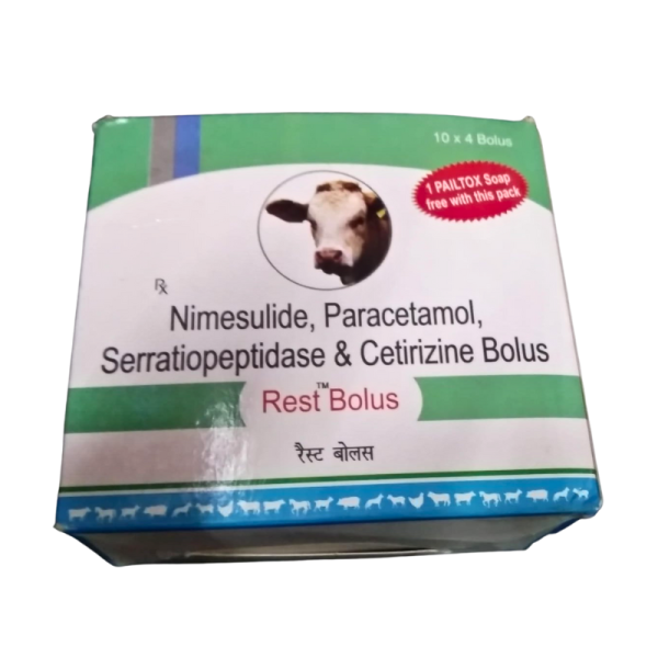 Rest Bolus-Image