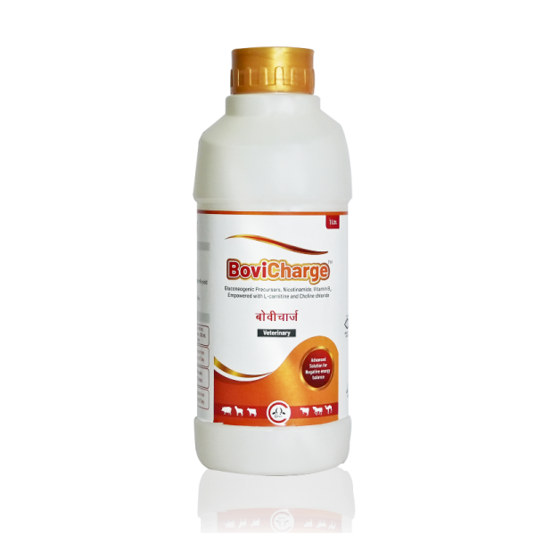 BoviCharge-Image