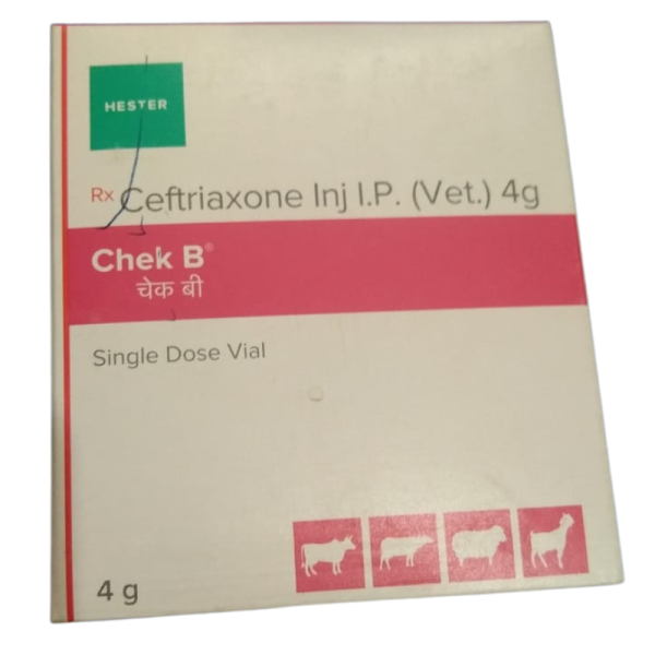Chek B-Image