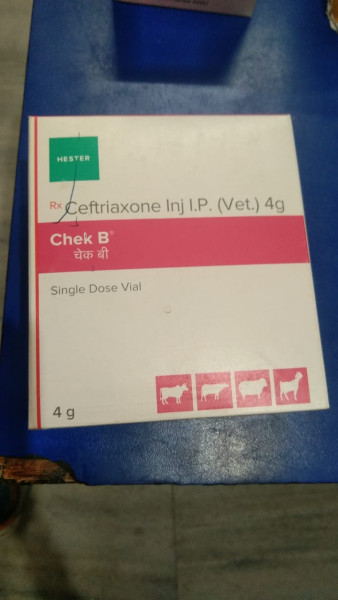 Chek B - Hester