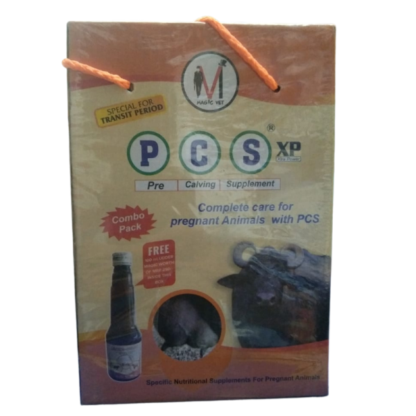 PCS XP-Image