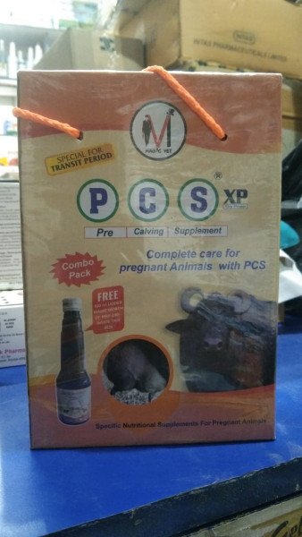 PCS XP - Magic Vet