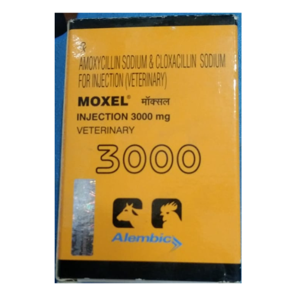 Moxel 3000 Injection-Image
